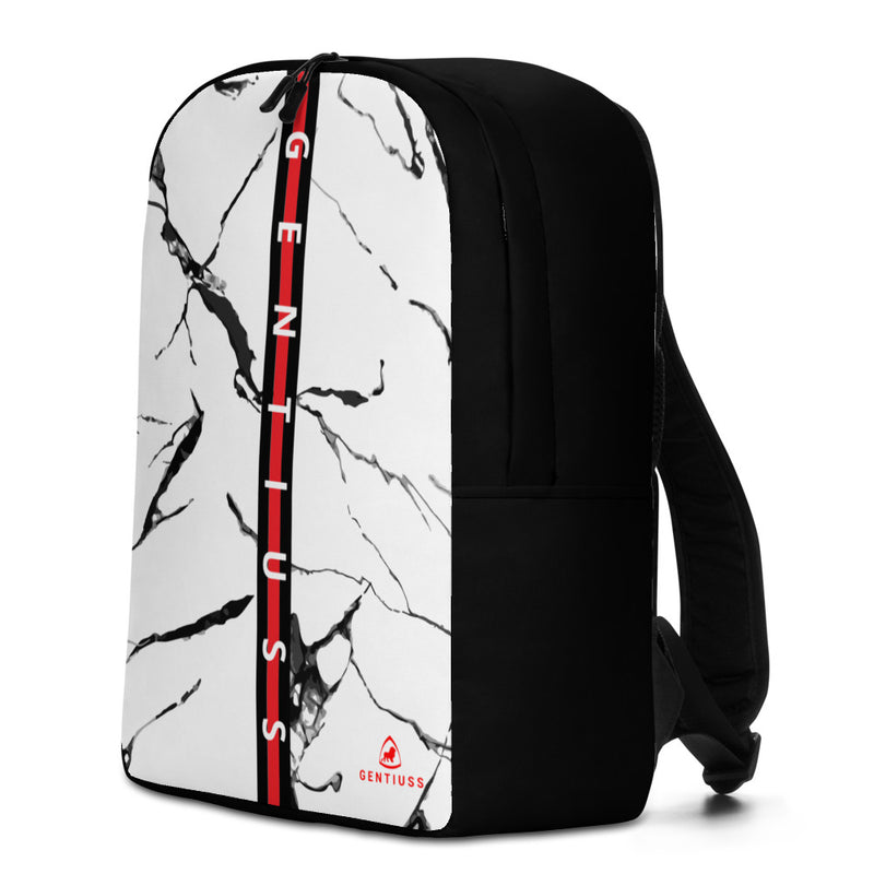 Men's backpack