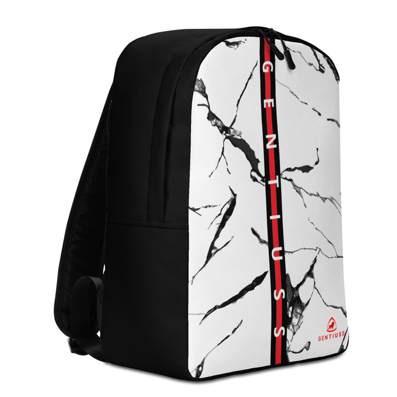 Men's backpack